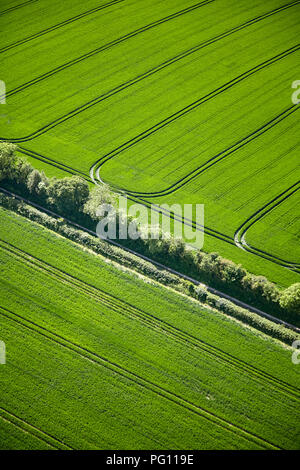 Vista aerea del pattern in campi Wiltshire Foto Stock