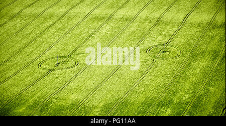 Vista aerea del pattern in campi Wiltshire Foto Stock