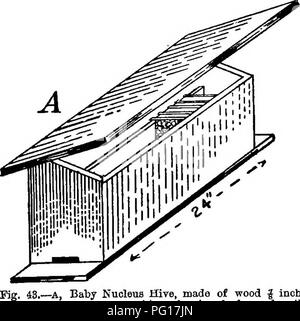 . Api per piacere e profitto; una guida per la manipolazione delle api, la produzione del miele e la gestione generale dell'apiario. Le api. 88 API FOE PLBASUEE e profitto. Lasciare piccoli fori o spazi per la ventilazione. In tutti gli altri aspetti le indicazioni stampate da cova uova di gallina, inviato con ciascuno di questi incubatori, dovrebbe essere seguita, eccetto che la sabbia nella teglia non dovrebbe essere bagnato e il calore si deve mirare al mantenimento dovrebbe essere da 85° a 95°. Quando i nuclei sono ad essere formata su larga scala di queste piccole incubatrici sono naturalmente del tutto inadeguata. Una molto grande di pollo Foto Stock