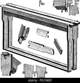 . Langstroth sull'alveare &AMP; miele delle api. Le api. 150 IL BEB-HH'ES. sario per guardare oltre ogni parte di esso. La guida acquisita da essere in grado di gestire due o tre telai in corrispondenza di un tempo è pertanto più immaginaria che reale. Il sig. E. E. Root, il ben noto editore di spighe in Bee di cultura, che è stato il più attivo sostenitore di questo telaio, in risposta ad un corrispondente che si lamentava del telaio, in spighe per novembre 1st, 1905, pagina 1127, riconosce che il telaio di Hoffman è inadatta per le località dove molto propoli è utilizzato dalle api, a causa della difficoltà di indotta- ing il frame quando glu Foto Stock