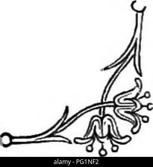 . Il linguaggio dei fiori: o, emblemi floreali di sentimenti, pensieri e sentimenti ... Lingua dei fiori. La rosa contorni armoniosi con delizia. Ma come possiamo descrivere le parti arrotondate che formano la sua interezza, la bella le tinte in modo delicato di cui sopra di lei il dolce profumo che Lei manda ? Ecco il suo, in primavera, innalzando se stessa dolcemente in mezzo il suo elegante fogliame, circondato dai suoi molti boccioli ; si potrebbe dire che la regina dei fiori di sport con l'aria che gioca intorno a lei, che ella adorna se stessa con il diamante- come gocce di rugiada che bagnano il suo, che sorride al sole di r Foto Stock