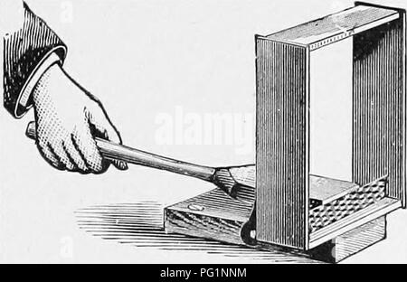 . L'apicoltore's guide : o manuale dell'apiario . La cultura delle api; le api. O, MANUAI, di THB APIAKY. 361 dation può o non può riempire queste sezioni. È raccomandato dal dottor Miller e i nostri amici canadesi, mettere due pezzi di fondazione in ogni sezione-pollice striscia dal fondo e un pezzo da cima a raggiungere entro un ottavo di un pollice della striscia inferiore. Naturalmente questo richiede tempo e attenzione. Quando un pezzo unico è usato, ho avuto successo migliore lasciando uno- ottavo di pollice spazio sui lati e sul fondo. Molti preferiscono per fissare alla parte superiore e inferiore. Naturalmente, la fondazione per la sec- zioni in fa Foto Stock