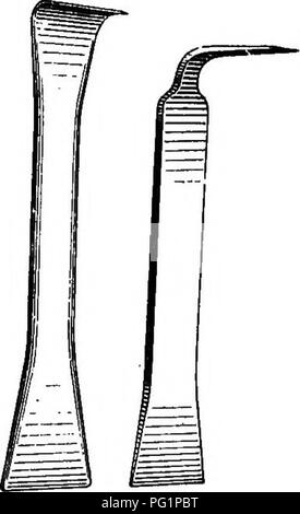 . L apicoltura in Maryland. Le api. Il MANAGEMKNT DI BEISS. 245 19) drone trappole, (fig. 20.) e schede di miele di zinco forata (fig. 24.) ^re quasi altrettanto indispensabile, per non parlare di tali altre desiderabili apparecchiatura come schede di divisione, sciame catturatori, bee. - D) suino. 9.-Tools. spazzole, (fig. 10.), gli estrattori di cera, etc. etc. Tutto di questo apparato è ampiamente descritto e figurato nei cataloghi dei concessionari di alimentazione. ' Miele casa e bottega. Il miele casa dovrebbe essere abbastanza vicino all'apiario per comodità nella gestione dei melari pieni di miele quando decollare il raccolto. Non è voluto dire un grande d Foto Stock