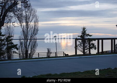 Debole alba alla stagione invernale in sud america Foto Stock