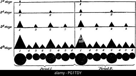 . Storia naturale dell'Astice americano... Decapoda (crostacei); la pesca di aragoste. 262 BOLLETTINO DELL'UFFICIO DI PRESIDENZA DI PESCA. di identificare i principali periodi, è tuttavia necessario, se vogliamo seguire il corso dello sviluppo e delle modifiche che frequentano il molt. Per fortuna due cartelli segnaletici stradali sono sempre presenti in corrispondenza di entrambe le estremità della serie, la spina di bloccaggio (fig. 12 L) e una porzione distale di Sperone o il tubercolo sul lato inferiore del propodus vicino alla sua punta (Sp). Per comodità di descrizione si assume quindi che il primo periodo è compreso prossimale a sperone e che il "bloccaggio" della spina è il pr Foto Stock