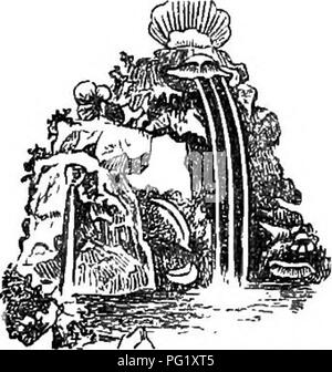 Questa guida sui fiori alpini per i giardini all'inglese illustra le piante di montagna, offrendo consigli su cosa evitare e presentando idee paesaggistiche come le rocce e le fontane. È un utile riferimento per la creazione di giardini alpini in climi temperati. Foto Stock