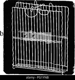 . L'apicoltore di guida; oppure, manuale dell'apiario. Le api. Da American Bee Journal. coltello, qui al collegio, abbiamo pronunciato è decisamente superiore a qualsiasi altra chesi hanno usato, anche se abbiamo alcune della principali coltelli realizzati negli Stati Uniti. Non credo che l'apicoltore può permettersi di utilizzare qualsiasi altro coltello. Questo coltello è peculiare per la sua lama spessa che è smussata sul bordo. USB di THB BXTRACTOR. Sebbene alcuni dei nostri più esperti apiarists dire no, si tratta comunque di un "fatto, che la regina talvolta rimane inattiva. Fig. L'ISL. Bingham coltello.-da T. F. Bingham. o estrude Foto Stock