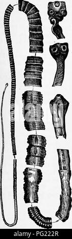 Questo testo esamina lo sviluppo delle tenebre, concentrandosi sul ciclo di vita di *Taenia solium* e *Taenia lacillaris*, evidenziando fasi come la strobila e i processi di divisione all'interno del nucleo durante la riproduzione. Foto Stock