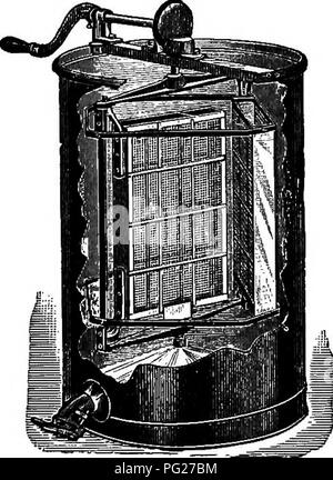 . Langstroth sull'alveare &AMP; miele delle api. Le api. Si estrae il miele. 453 e, tuttavia, a causa di condizioni molto favorevoli, il bosco selvatico swarmed con api nel "alberi di cava", e la hee- Hunter ha fatto la sua comparsa. Migliaia di alberi caduti sotto la sua ascia, per produrre i dolci che in essi contenuti. Bee-la caccia è diventata una professione in alcune delle nostre foreste. Il metodo seguito per trovare colonie insediate in cavità di alberi, è stata quella di posizionare una esca di miele in qualche posto aperto, attraendo le api bruciando un po' del pettine. Quando le api avevano formato un bee line dal miele ai loro abod Foto Stock