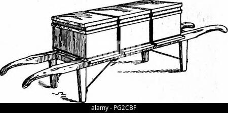 . Svernamento delle api. Le api. 38 SVERNAMENTO API- abbastanza facilmente, scendono in cantina-fasi, e passare attraverso le porte. La sola eccezione è il rigging, e le operazioni di carico e scarico. La particolare forma di alveare-vettore preferito dai ma^y è quello descritto dal Sig. G. C Greiner e molti altri in spighe nella cultura delle api. Questo è presentato nel fol- abbassamento illustrazioni.. G-reiner's hive-portante. Due uomini possono portare facilmente come molti come cinque alveari in questo modo. Dove la cantina si trova a poca distanza dall'apiario "crediamo che questo sia il metodo più conveniente ancora studiato. Invece di costruire Foto Stock