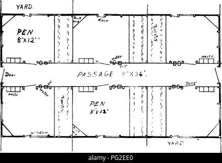 . Il pollame-craft. Un libro di testo per custodi di pollame ... Il pollame. . Si prega di notare che queste immagini vengono estratte dalla pagina sottoposta a scansione di immagini che possono essere state migliorate digitalmente per la leggibilità - Colorazione e aspetto di queste illustrazioni potrebbero non perfettamente assomigliano al lavoro originale. Robinson, John H. (John Henry), 1863-1935. Boston, I. S. Johnson &AMP; co. Foto Stock