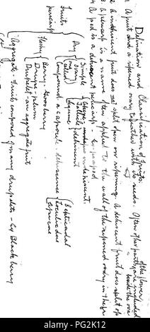 . Chiave e flora : Northern e Central membri . La botanica. = â ^5 i = 1 f c;=;ii. T -^^1. Si prega di notare che queste immagini vengono estratte dalla pagina sottoposta a scansione di immagini che possono essere state migliorate digitalmente per la leggibilità - Colorazione e aspetto di queste illustrazioni potrebbero non perfettamente assomigliano al lavoro originale. Bergen, Giuseppe Y. (Giuseppe giovani), 1851-1917. Boston : Ginn Foto Stock