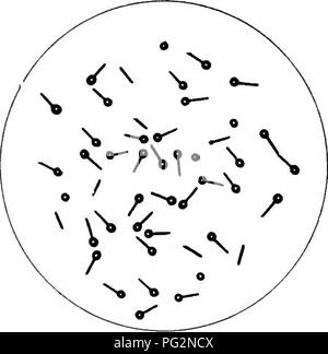 Questo lavoro si concentra sulla diagnosi e la patologia delle malattie infettive negli animali, con particolare attenzione al tetano causato dal batterio *Clostridium tetani*. Discute i sintomi, le cause e la diagnosi differenziale della malattia, fornendo informazioni preziose per gli studenti e i professionisti veterinari. Foto Stock