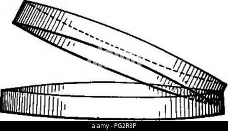 . Batteri, lieviti e muffe in casa. Batteriologia; funghi lievito; stampi (funghi). Fig. 82. Aria calda apparecchiatura sterilizzante.. Fig. 83. Una capsula di Petri per colture di piastra.. Si prega di notare che queste immagini vengono estratte dalla pagina sottoposta a scansione di immagini che possono essere state migliorate digitalmente per la leggibilità - Colorazione e aspetto di queste illustrazioni potrebbero non perfettamente assomigliano al lavoro originale. Conn, H. W. (Herbert William), b. 1859. Boston, New York, Ginn e azienda Foto Stock