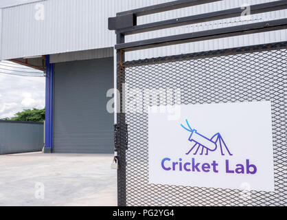 Chiang Mai, Thailandia. 12 Luglio, 2018. Il Cricket logo Lab si blocca all'ingresso del cricket farm. In fabbrica il ceco Husek, grilli domestici sono allevati, essiccato e macinato. La polvere insetticida viene esportato. Credito: Visarut Sankham/dpa/Alamy Live News Foto Stock