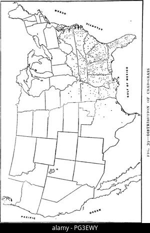 Una guida pratica sulla coltivazione e la gestione delle erbe agricole negli Stati Uniti. Esso copre i metodi di semina, le varietà di erba, la gestione dei pascoli e le tecniche per migliorare la resa dell'erba per l'allevamento e l'allevamento. Foto Stock