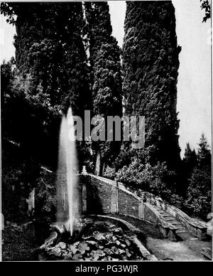 Questa immagine mostra un design di giardinaggio paesaggistico di Villa d'Este, Tivoli, Italia. Noto per la sua predominanza architettonica, il design presenta elementi classici come terrazze, fontane e piantagioni accuratamente pianificate. Questo giardino è un sito patrimonio dell'umanità dell'UNESCO e uno dei più famosi esempi di paesaggio rinascimentale. Foto Stock