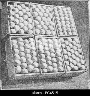 . Frutta moderno marketing : un trattato completo che copre la raccolta, il confezionamento, la conservazione, il trasporto e la vendita di frutta . Commercio di frutta. Moderna Commercializzazione di frutta. Fig. 69.-buon allineamento-buona confezioni questo, la chiodatura delle cime schiaccerà le mele. L'allineamento delle righe devono essere diritte, sia longitudinalmente e diagonalmente attraverso il pacchetto (Fig. 69). Questo può essere realizzato solo mediante l'uso di uniforme di dimensioni di mele. I documenti vengono messi su con cura e la "borra" posto sopra lo stelo e quindi nel caso in cui lo stelo è abbastanza forte da strappare la carta, non mostrerà attraverso nel pacco. Naili Foto Stock