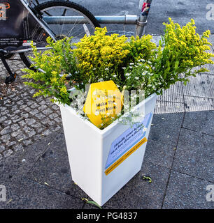 Berlin-Mitte, Rosenthalerplatz. Contenitore di fiori su angolo di strada su National Honey Bee giorno accresce la consapevolezza per l industria delle api Foto Stock
