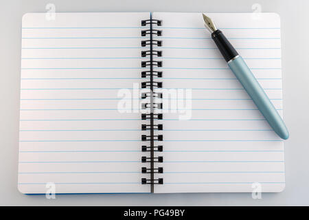 Penna stilografica e un notebook Foto Stock