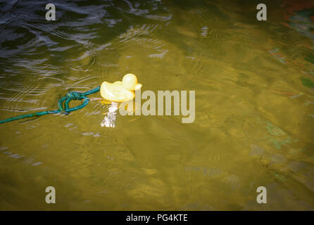 Giallo giocattolo di anatra on line, galleggiante su un lago. Foto Stock