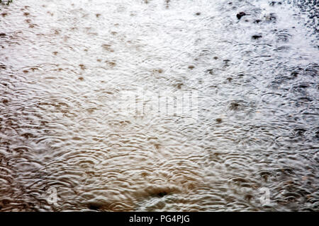 Heavy Rain di cadere in una pozza su una strada nel West Sussex Foto Stock