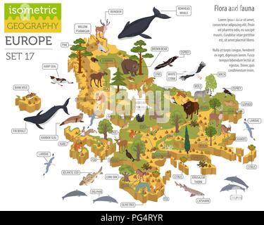 Isometrica, 3d unione flora e fauna mappa elementi costruttore. Animali, uccelli e Sea life isolato su bianco grande set. Costruire la propria geografia infogr Illustrazione Vettoriale