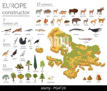 Isometrica, 3d unione flora e fauna mappa elementi costruttore. Animali, uccelli e Sea life isolato su bianco grande set. Costruire la propria geografia infogr Illustrazione Vettoriale