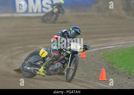 Solo erba via driver Tresarrieu Mathieu dalla Francia durante la sua corsa per il fim lungo la via del campionato del mondo di Finale 4 in Eenrum, Paesi Bassi. Foto Stock