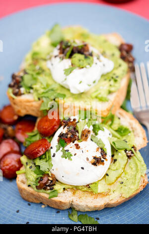 Toast spalmato di avocado, Uovo affogato, il Chorizo e il coriandolo Foto Stock