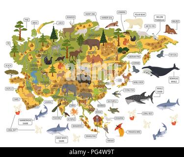 Appartamento Asian flora e fauna mappa elementi costruttore. Animali, uccelli e Sea life isolato su bianco grande set. Costruire la propria geografia infographics coll Illustrazione Vettoriale