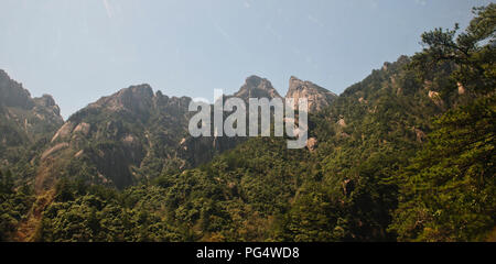 Twisted pini,nuvole,Pinacles,Scogliere,RocksYellow montagne,Huang Shan,Jaingxi provincia,Cina,PRC,Repubblica Popolare di Cina Foto Stock