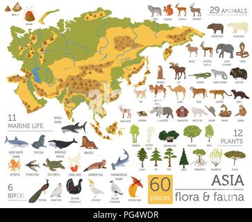 Appartamento Asian flora e fauna mappa elementi costruttore. Animali, uccelli e Sea life isolato su bianco grande set. Costruire la propria geografia infographics coll Illustrazione Vettoriale