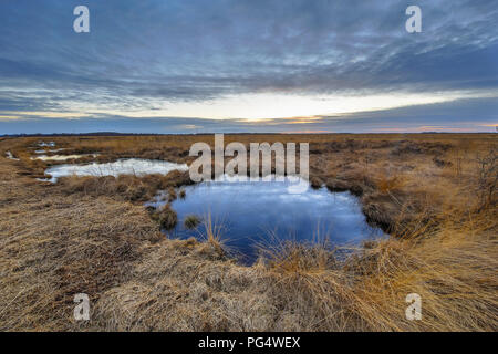 Sunset over Rehdener geestmoor riserva naturale Niedersaksen in Germania. Questo posto è noto per i suoi grandi numeri di gru in appoggio qui sulla migrazione Foto Stock