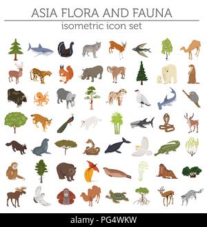 Isometrica, 3d Asian flora e fauna mappa elementi costruttore. Animali, uccelli e Sea life isolato su bianco grande set. Costruire la propria geografia infograph Illustrazione Vettoriale