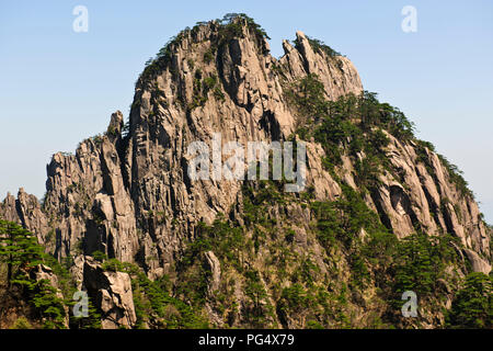 Twisted pini,nuvole,Pinacles,Scogliere,RocksYellow montagne,Huang Shan,Jaingxi provincia,Cina,PRC,Repubblica Popolare di Cina Foto Stock