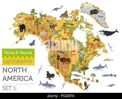 Nord America flora e fauna mappa, elementi piani. Animali, uccelli e Sea life grandi set. Costruisci il tuo geografia infographics collection. Illustrati del vettore Illustrazione Vettoriale