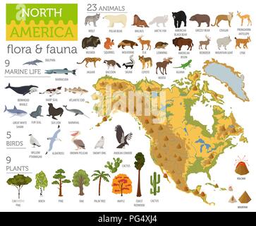 Nord America flora e fauna mappa, elementi piani. Animali, uccelli e Sea life grandi set. Costruisci il tuo geografia infographics collection. Illustrati del vettore Illustrazione Vettoriale