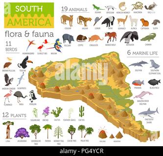 Isometrica, 3d America del sud della flora e della fauna di elementi della mappa. Animali, uccelli e SEA LIFE. Costruire la propria geografia infographics collection. Illustr vettore Illustrazione Vettoriale