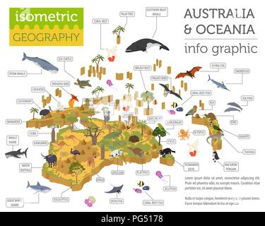 Isometrica, 3d Australia e Oceania la flora e la fauna di elementi della mappa. Animali, uccelli e SEA LIFE. Costruire la propria geografia infographics collection. Vettore Illustrazione Vettoriale