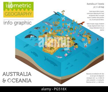 Isometrica, 3d Australia e Oceania la flora e la fauna di elementi della mappa. Animali, uccelli e SEA LIFE. Costruire la propria geografia infographics collection. Vettore Illustrazione Vettoriale