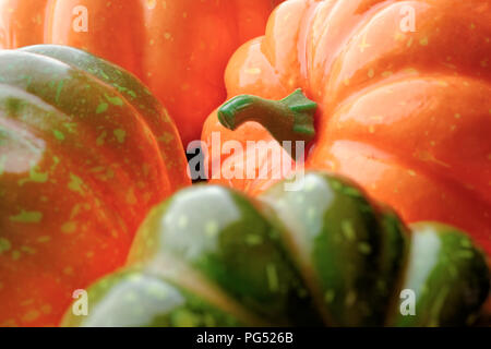 Gruppo di arancione e verde zucche, closeup shot, sfondo stagionali Foto Stock