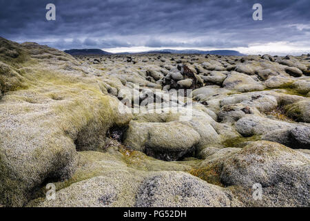 Islanda moss campo al giorno nuvoloso Foto Stock