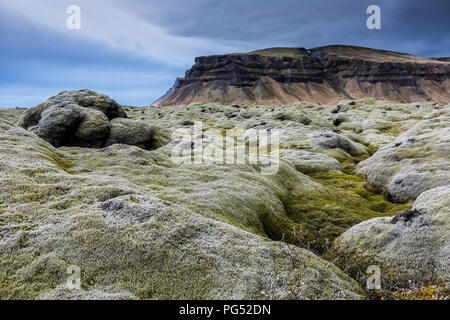 Islanda moss coperto campo di lava a giorno nuvoloso Foto Stock