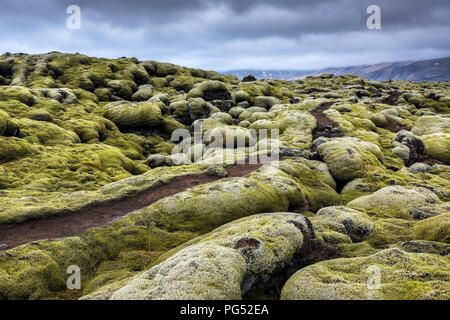 Un percorso attraverso il campo di moss al giorno nuvoloso in Islanda Foto Stock