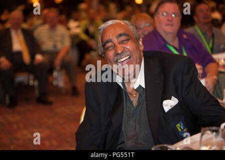 2008 DNC, democratica di NY Foto Stock