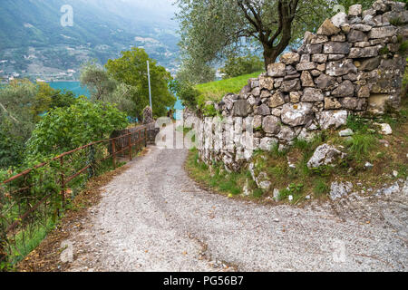 Strada ripida dal lago d'Iseo in montagna lungo un piccolo villaggio sulla collina. Italia Foto Stock