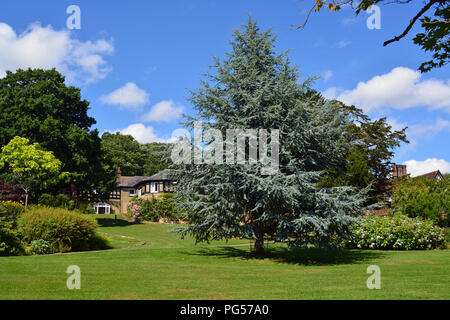 Giardini Burrswood, Kent Foto Stock