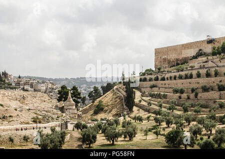 Il monte degli Ulivi a Gerusalemme, Israele Foto Stock