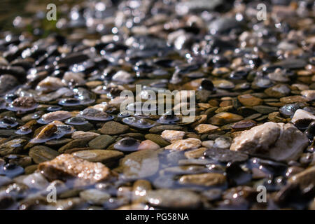 Ciottoli in acqua dopo una breve estate la pioggia nel pomeriggio, Predeal, Romania Foto Stock